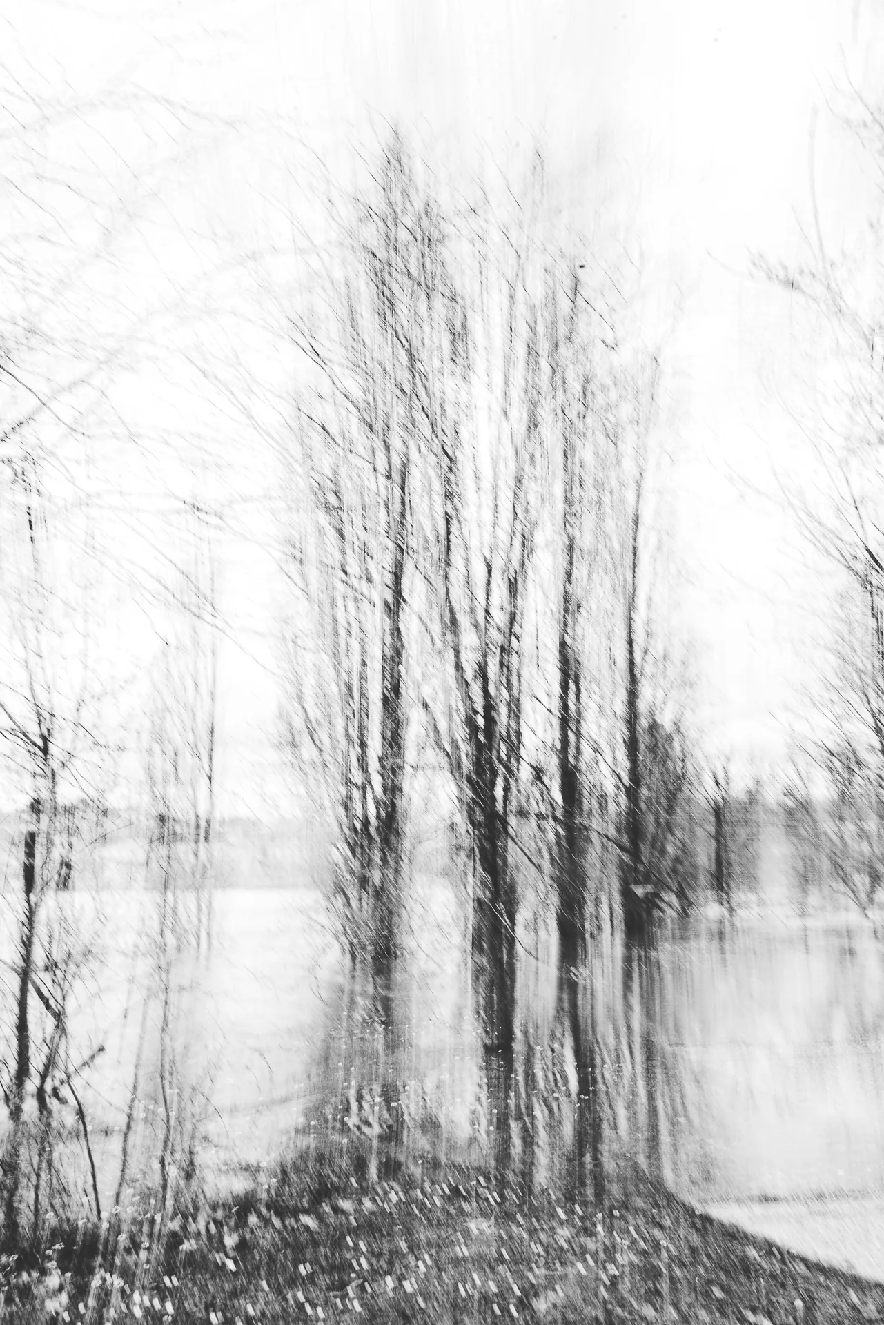 Yvelise Ballu Photographie 3