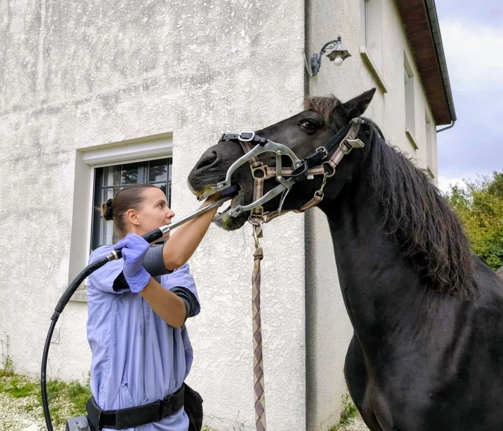 Margaux Renault - Technicien Dentaire Équin