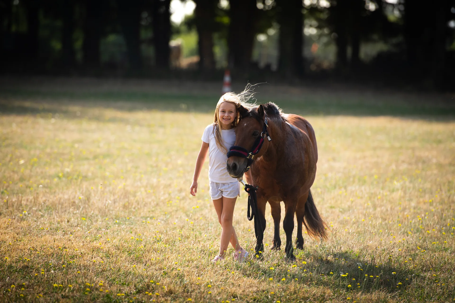 Le Haras