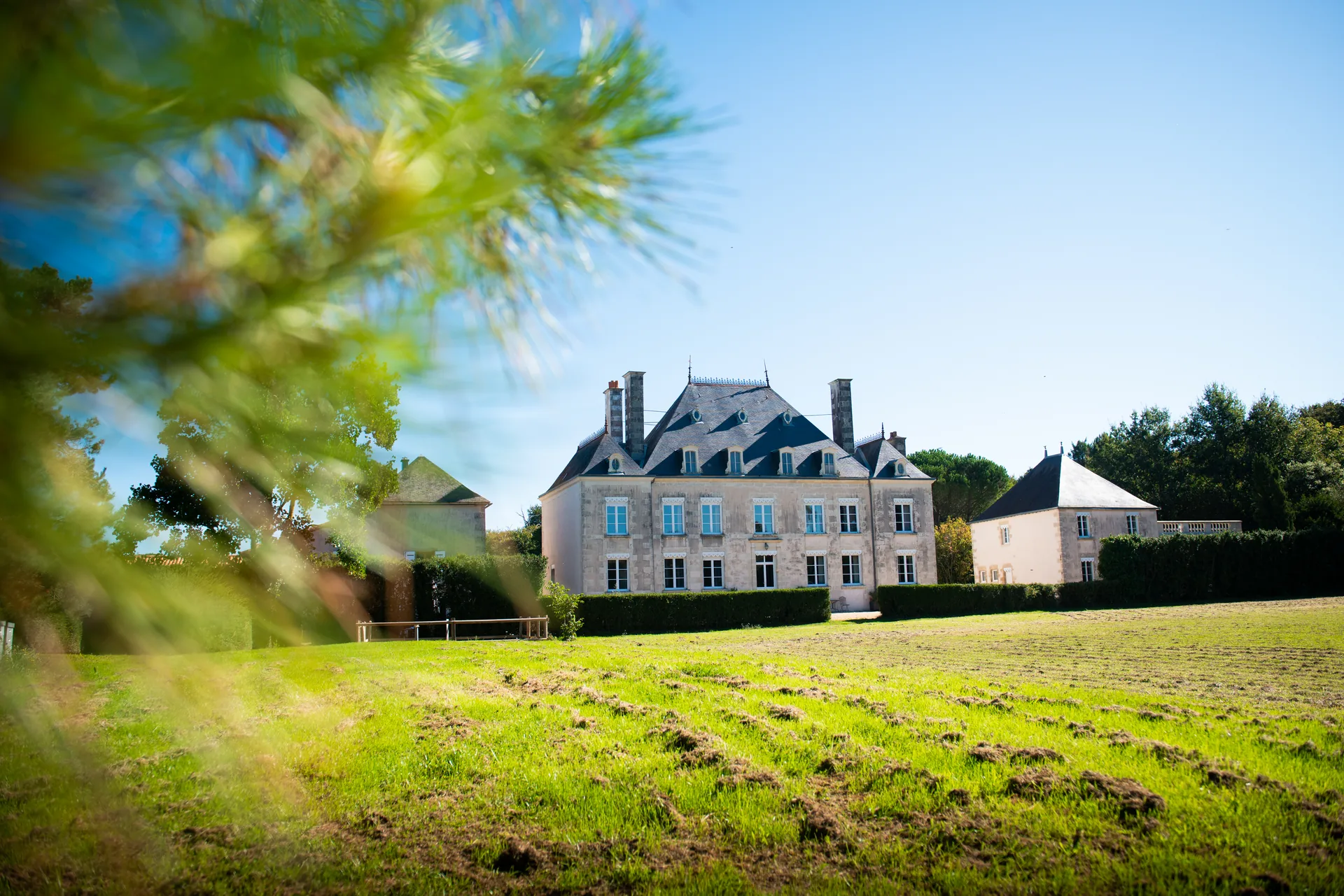 Parc arboré du Domaine de la Briouse près du Gîte Pavillon