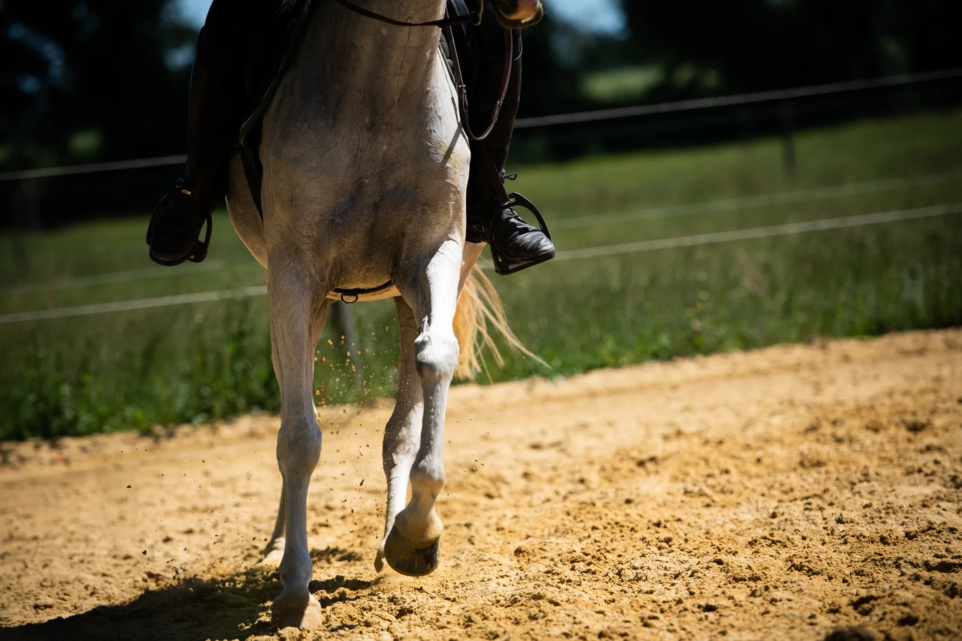 Le Haras
