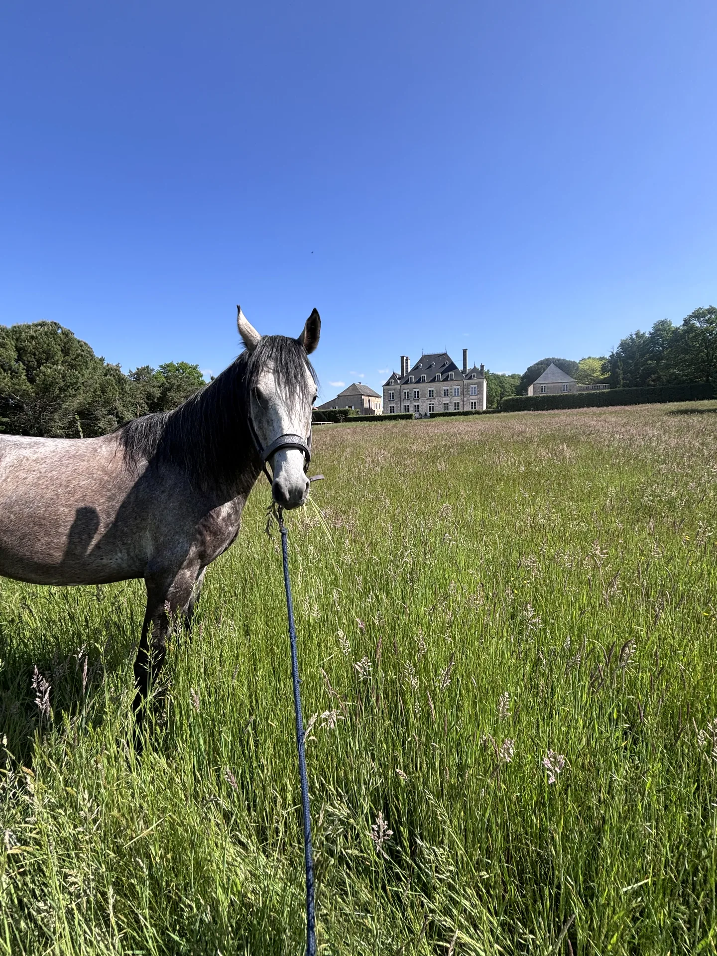 Chemins balisés autour du Haras