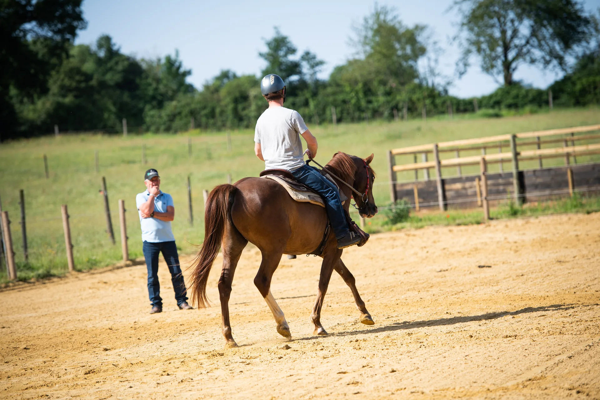 Le cheval au cœur du Domaine